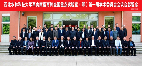 0082b1480184f221b6104d011250d321_副本.jpg